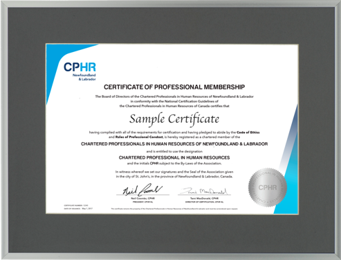 CPHR-NL (Metal upgrade#1) Satin Silver Metal frame with single medium grey mat board